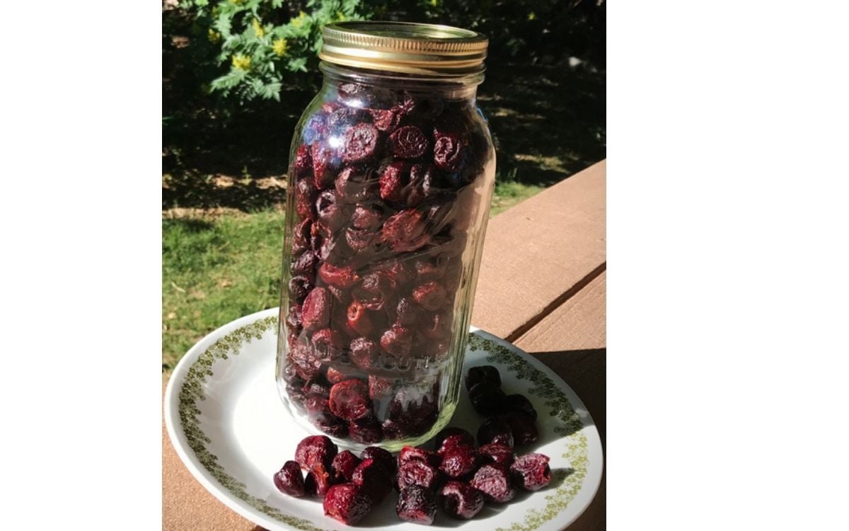 Half Gallon Mason jar filled with Sweet Bing Freeze Dried Cherries.