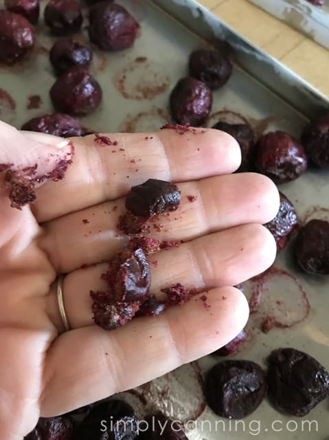 Crumbling a freeze dried cherry between the fingers.