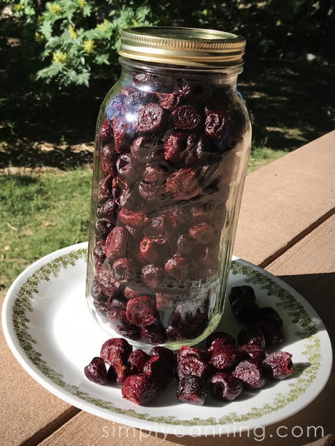 A large canning jar packed with freeze dried cherries with a serving of cherries on the plate beside it.