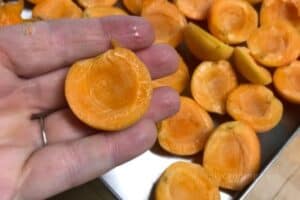 How to Freeze Dry Fruit: Essential Tips & Tricks - SimplyCanning
