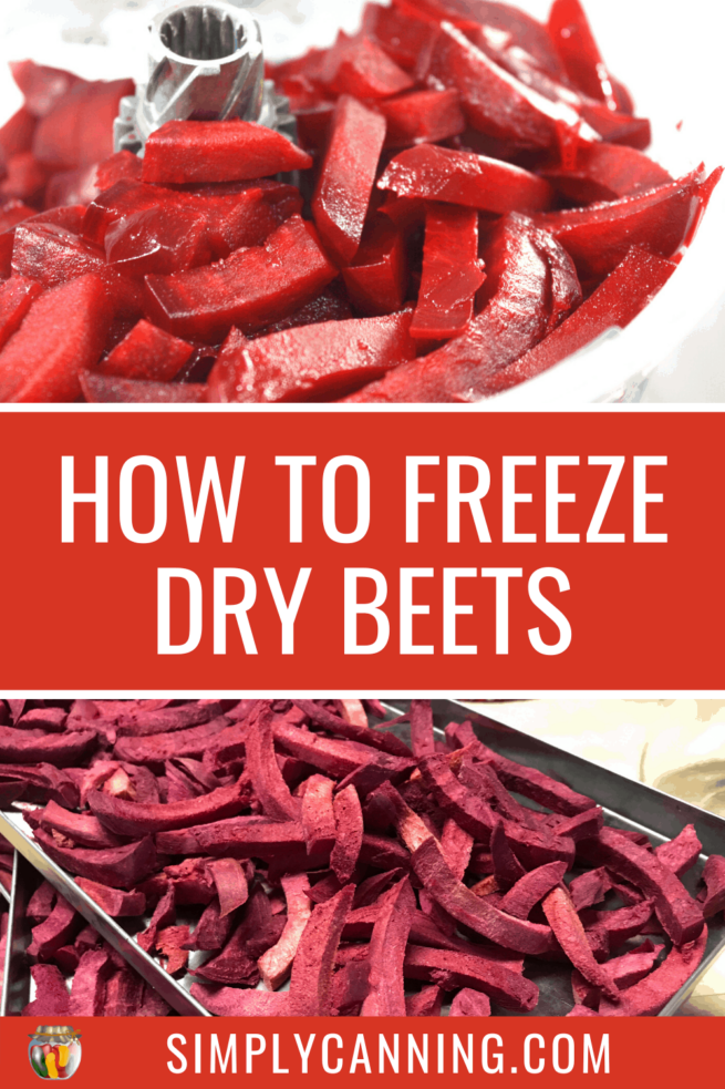 How to Freeze Dry Beets - SimplyCanning