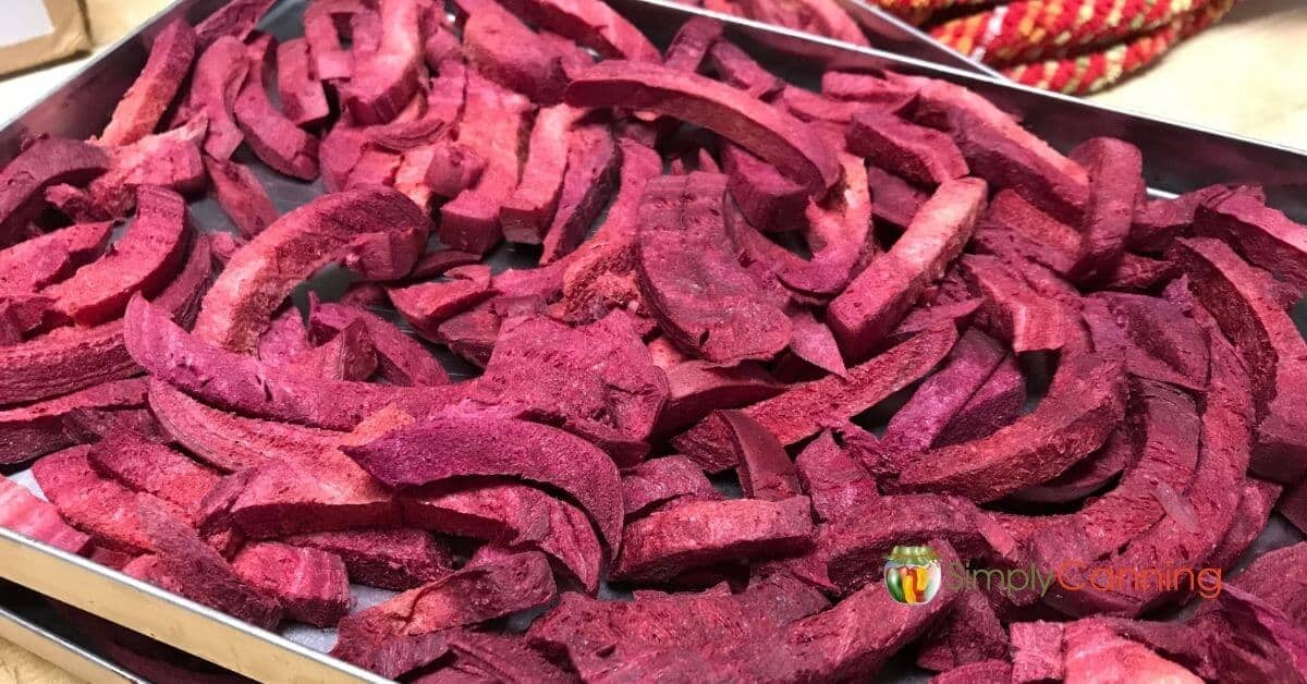 French fry shaped freeze dried beets laying out on the freeze dryer tray. 