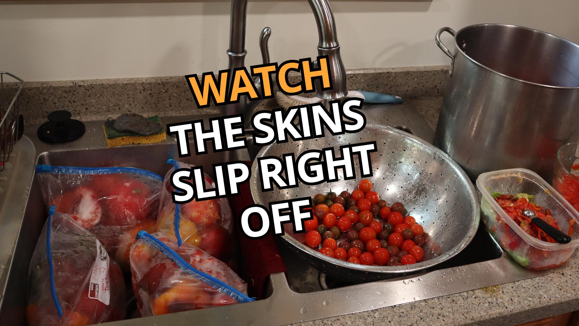 Sharons' sink with a stainless bowl full of cherry tomatoes, and bags of frozen tomatoes to be thawed.