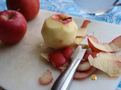 How To Freeze Apples (Fast!) - Detoxinista
