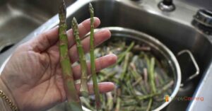 Holding three different sizes of asparagus spears in my hand over a pot full of asparagus that’s sitting in the sink.
