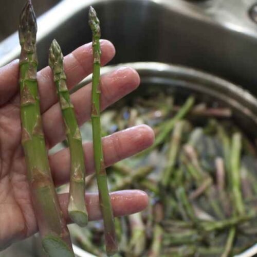 Holding three different sizes of asparagus spears in my hand over a pot full of asparagus that’s sitting in the sink.