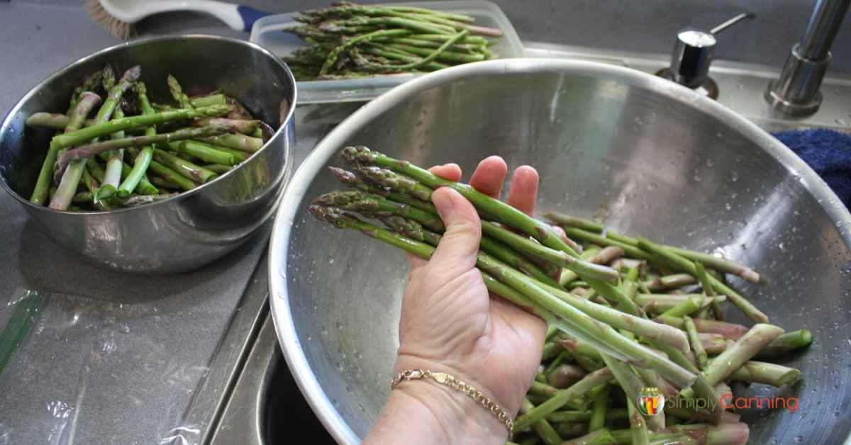 Washing asparagus in a bowl.
