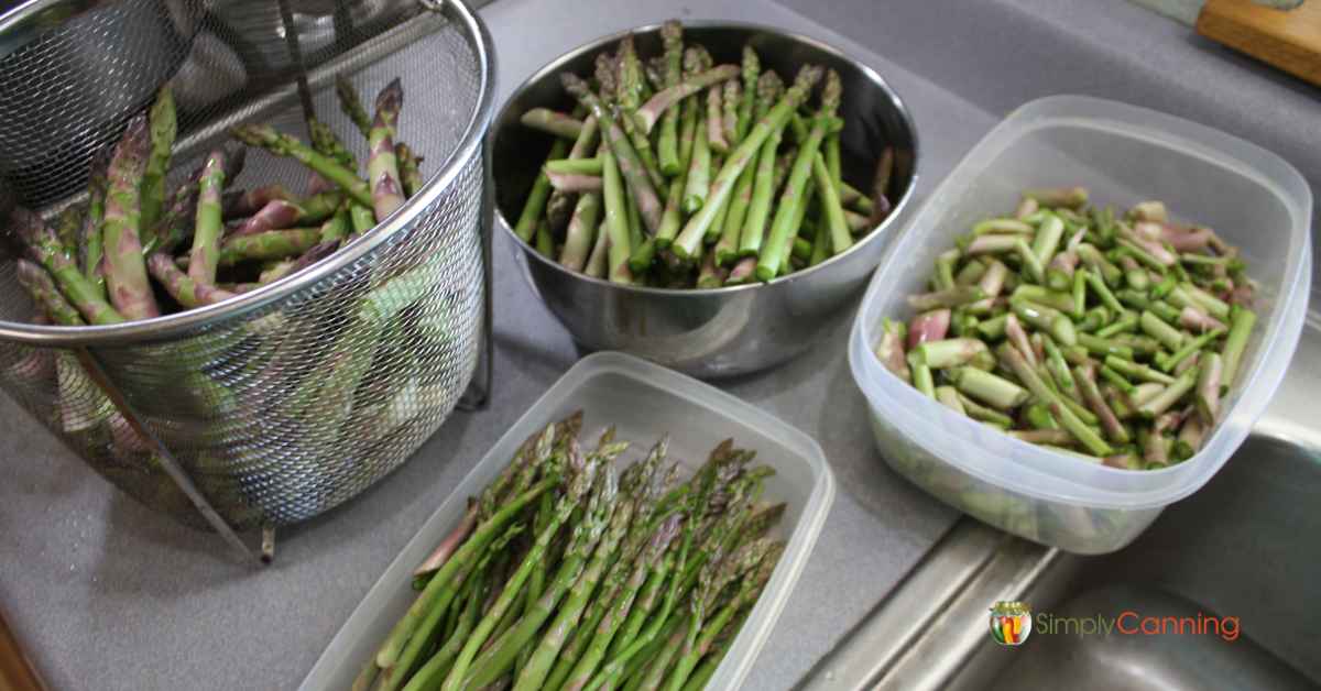 Basket of asparagus spears with more asparagus in containers nearby and a dish of scraps too