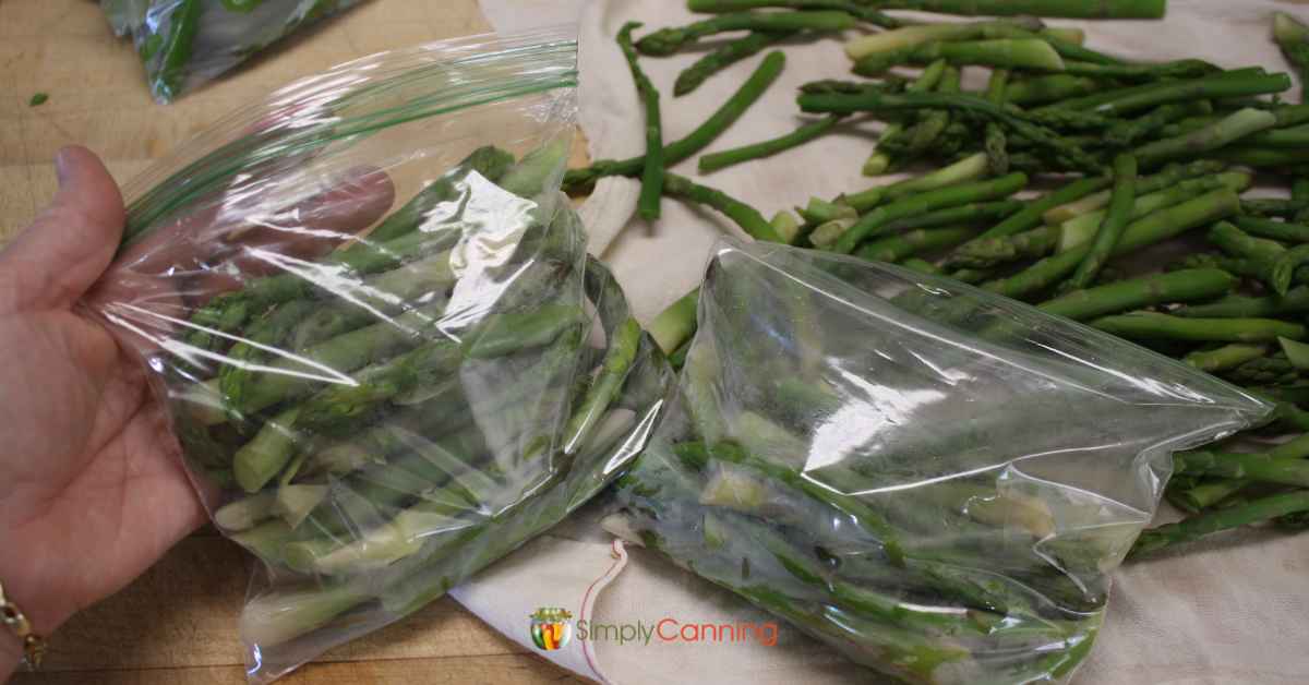 Filling bags with blanched asparagus for the freezer.