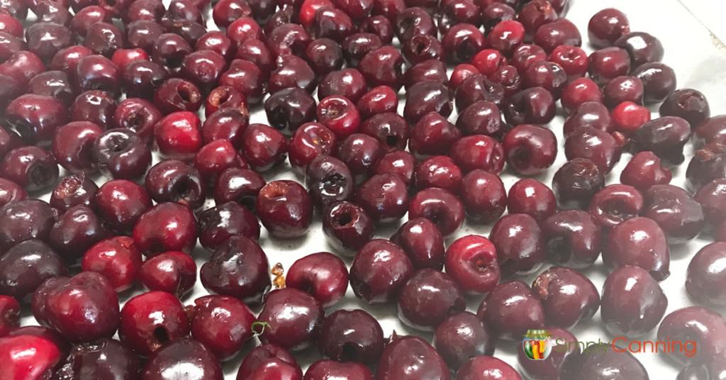 A freezer paper lined tray with pitted red cherries spread over it.