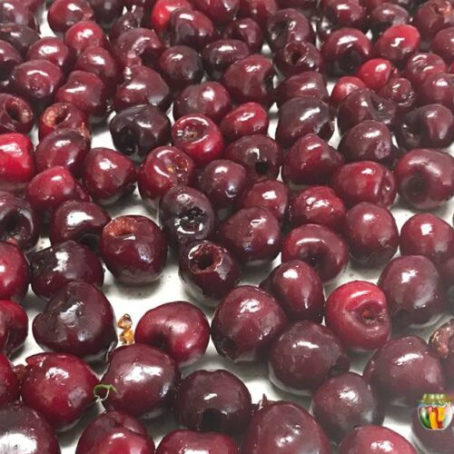 A freezer paper lined tray with pitted red cherries spread over it.