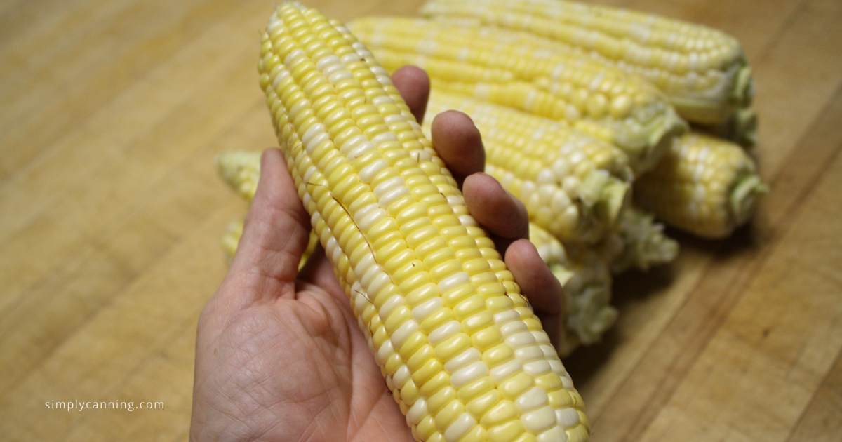 How to Freeze Corn On or Off the Cob