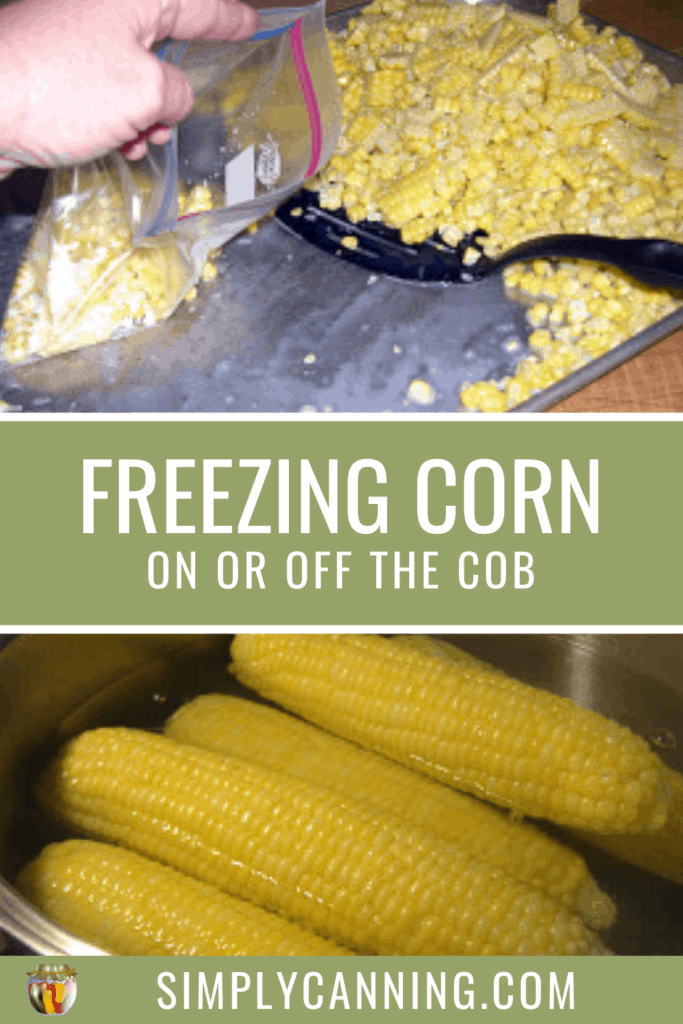 Freezing Corn On or Off the Cob