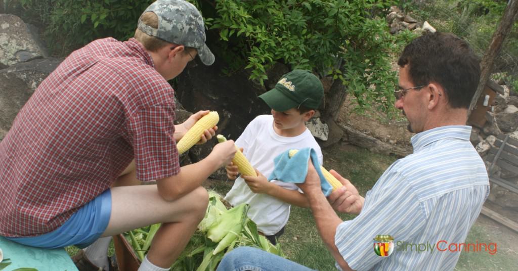 My husband and sons shucking corn in the yard.