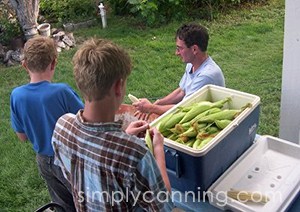 Dad and the boys shucking corn in the backyard.