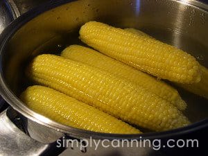Yellow ears of corn blanching in a pot of boiling water. 