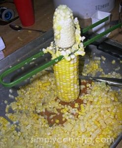 Pushing a cob of corn through the round corn stripping blade to slice off the kernels into a cookie sheet. 