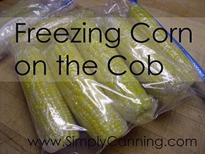 Individual cobs of sweet corn wrapped in plastic wrap and packed in freezer bags.