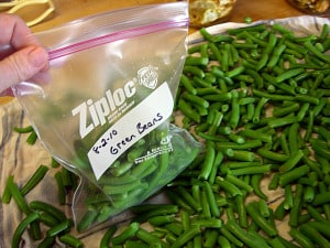 Packing green beans into labeled freezer bags.