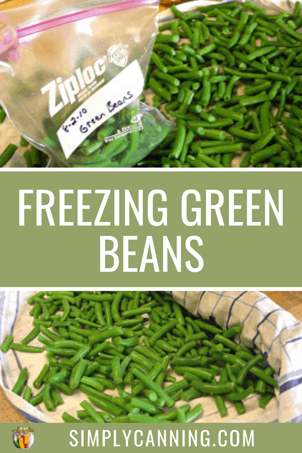 Freezing Green Beans instead of canning leaves a little crunch!