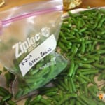 Packing blanched green beans into a freezer bag.