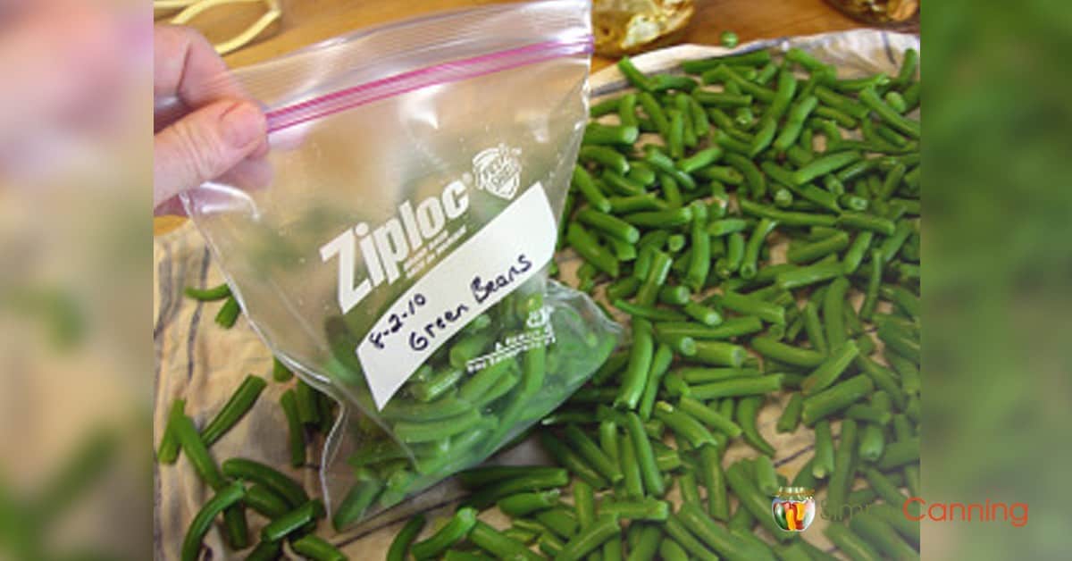 Freezing Green Beans Requires Blanching & We Show You How!