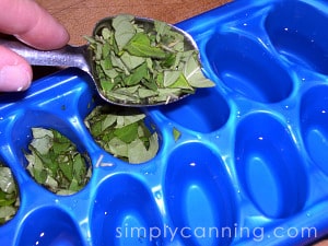 Spooning chopped herbs into an icecube tray.