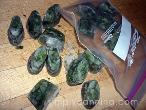 Frozen cubes of water and chopped herbs being packed with a freezer bag.