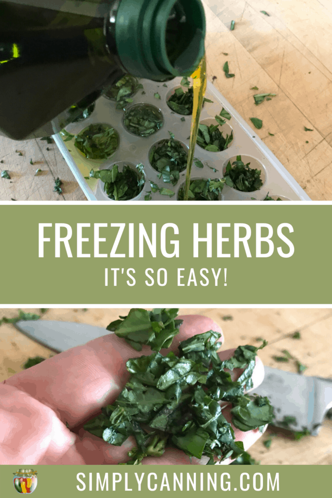 Freezing Herbs