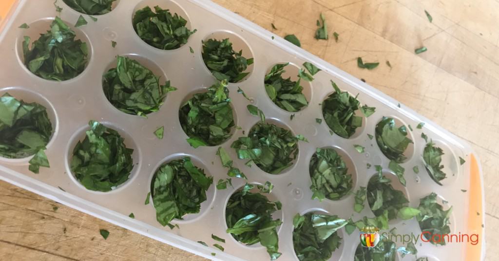 An icecube tray filled with chopped fresh herbs.