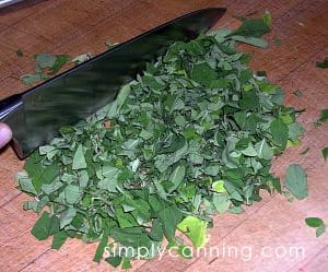 Chopping a huge pile of fresh herbs with a chef's knife.