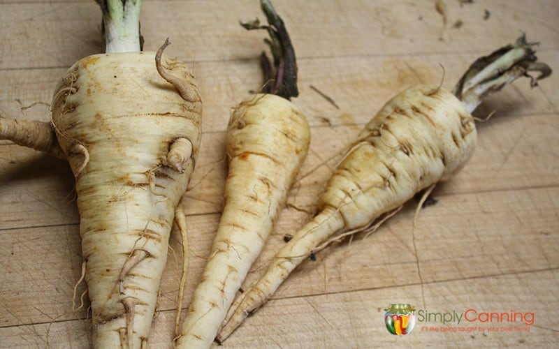 Freshly cleaned parsnips.