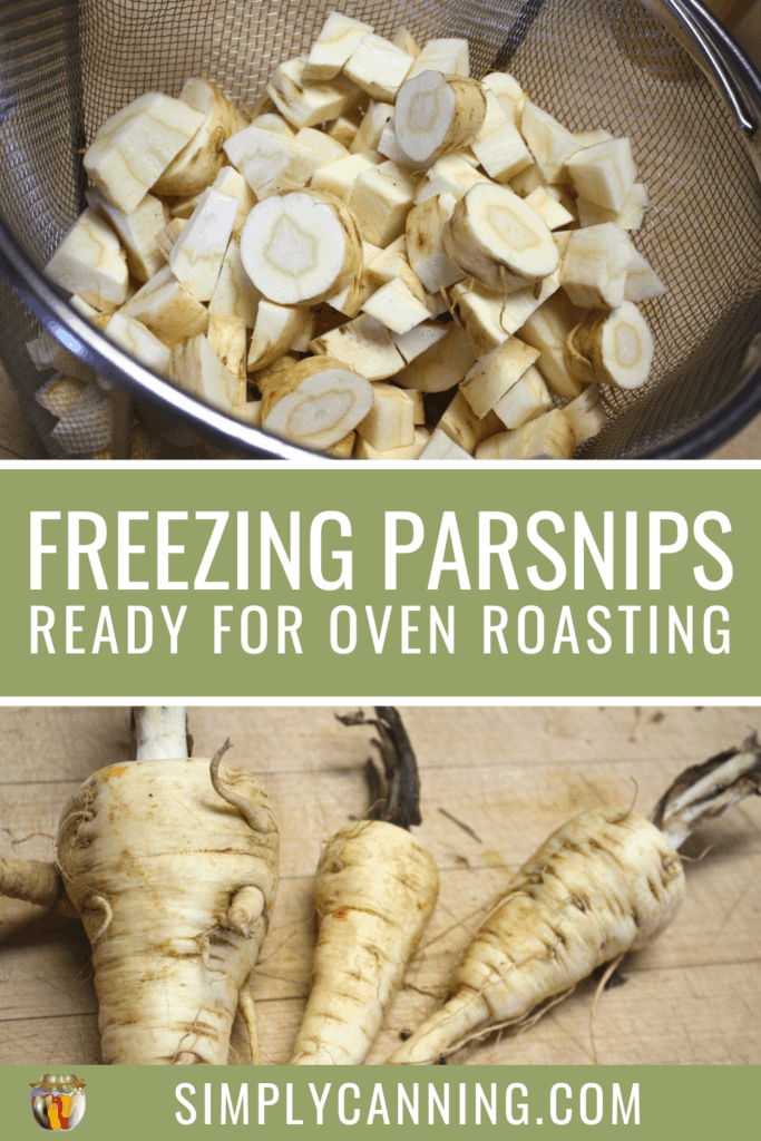 freezing parsnips pin