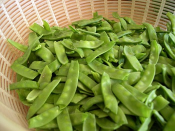 Freshly picked pea pods in a basket.