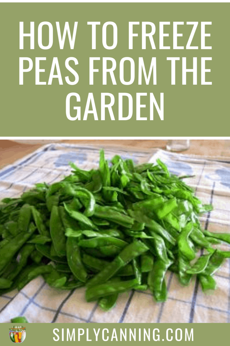 Freezing Peas from the Garden Keeps Them Fresh and Nutritious!