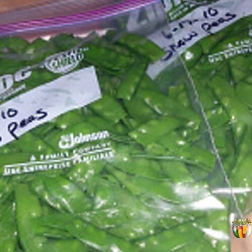 Snow peas packed into freezer bags and labeled with the contents and date.