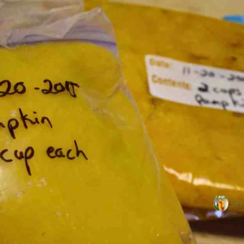 A bag filled with one cup of pumpkin and labeled accordingly.