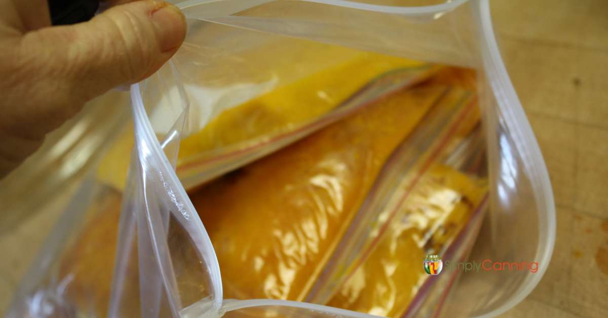 A larger bag with smaller bags of pumpkin inside.