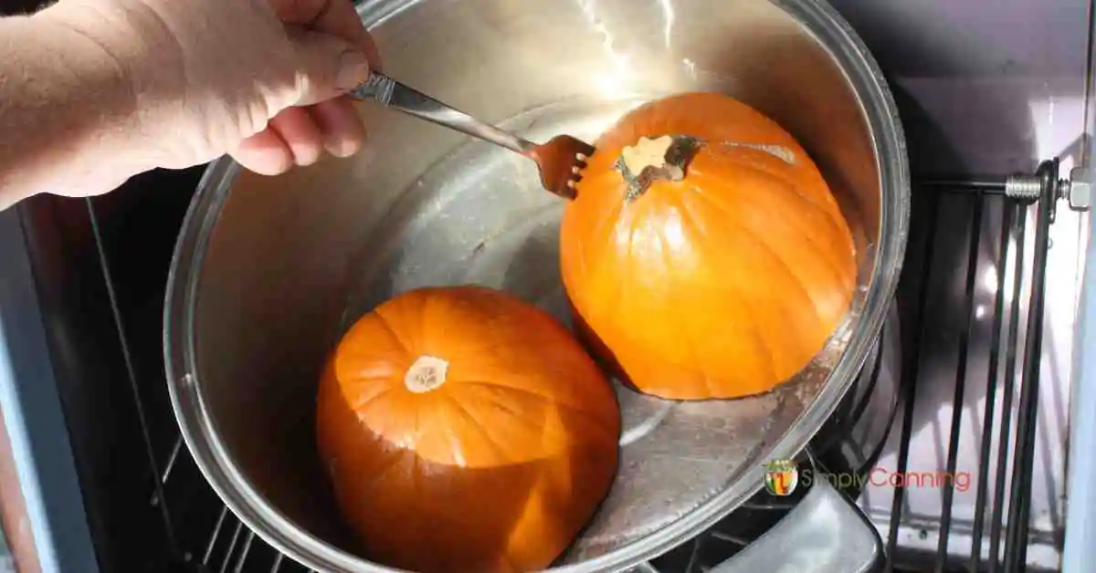 Checking the doneness of some pumpkins cooked in the SunOven.