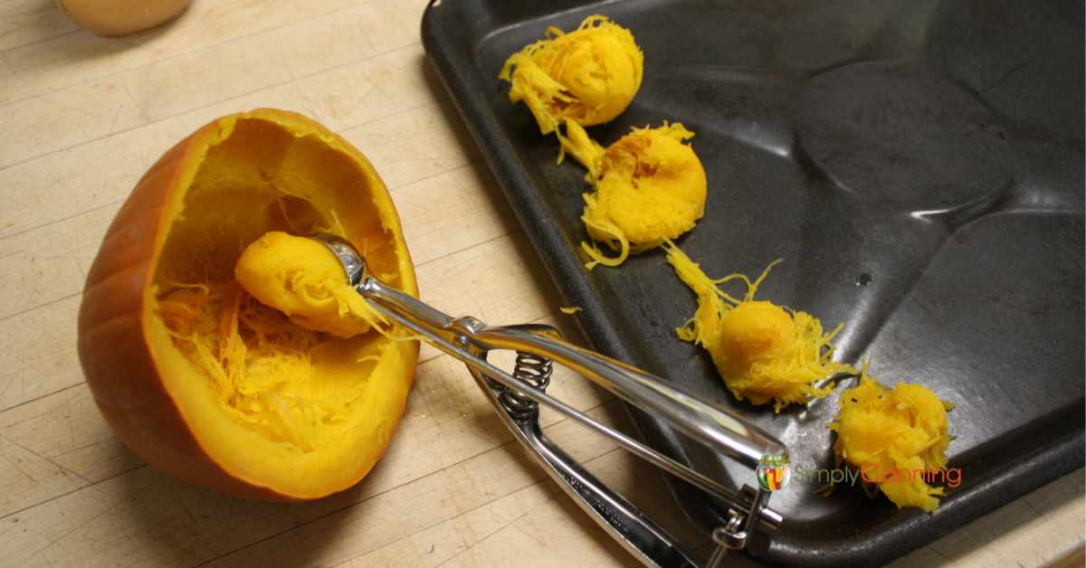 Using an ice cream scoop to freeze pumpkin in small portions.