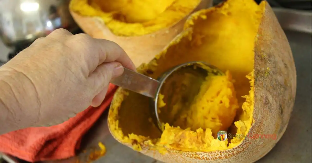 Scooping out pumpkin flesh with a metal measuring cup.