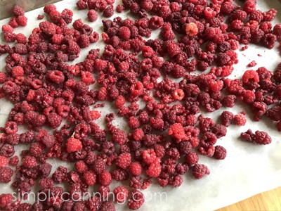 Freezing Raspberries