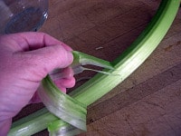 freezing rhubarb-1