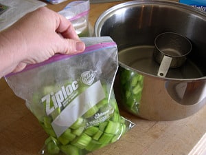 freezing rhubarb-7