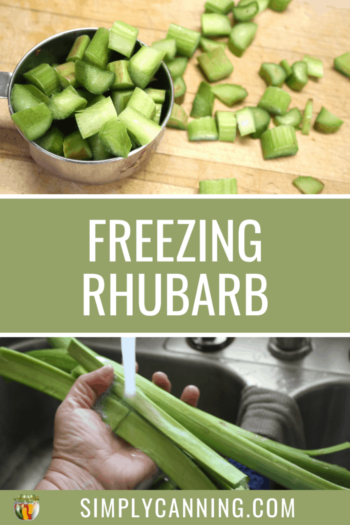 Freezing Rhubarb