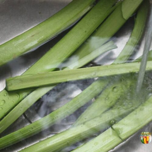 Washing big stalks of green rhubarb under running water in the sink.