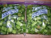 freezing rhubarb