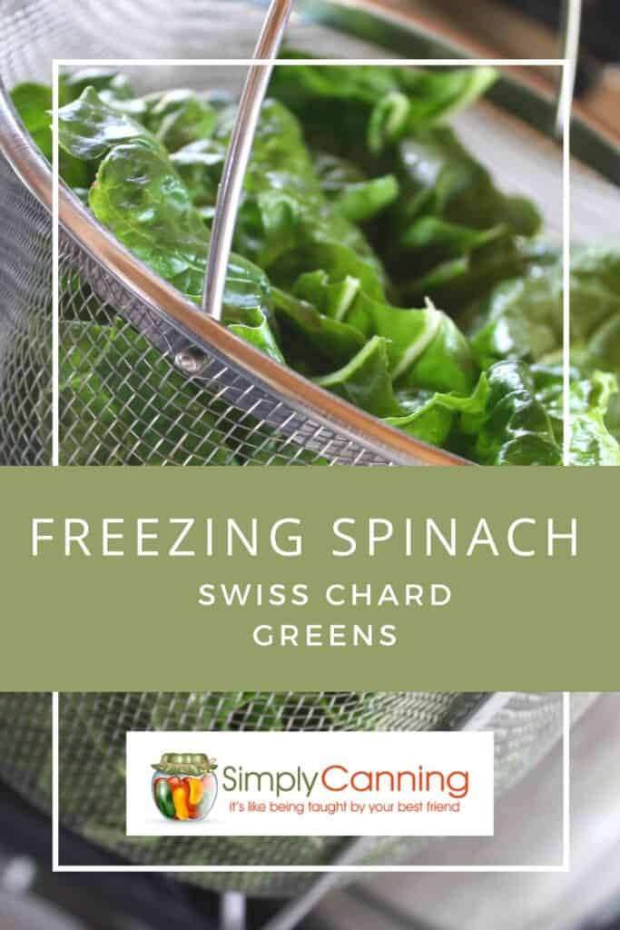 Freezing Spinach 