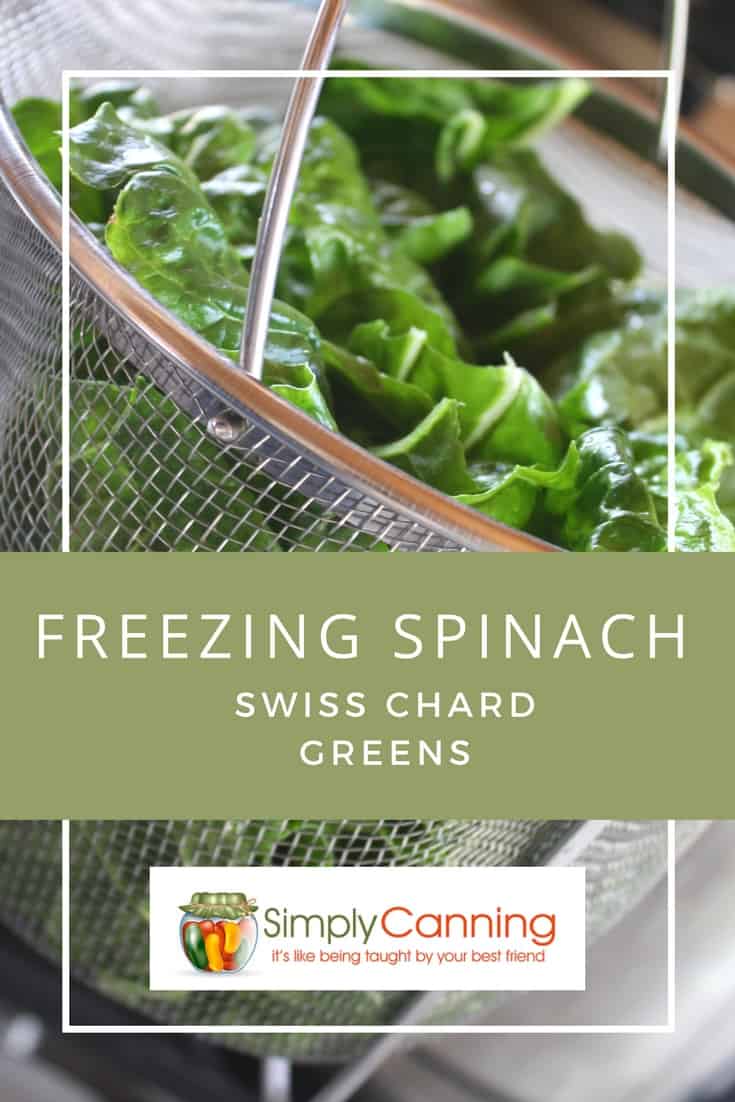 Freezing Spinach Makes for Quick Smoothies and Easy Recipes!