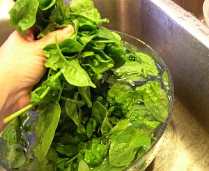 Rinsing and sorting fresh spinach leaves in a bowl that has been placed in the kitchen sink.